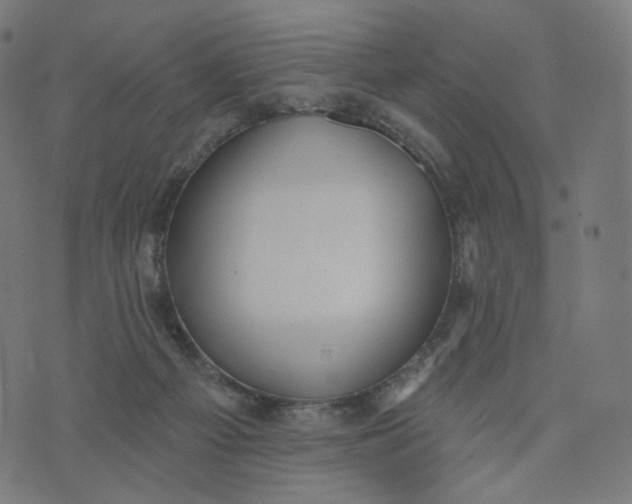 X0000070360121200606231632