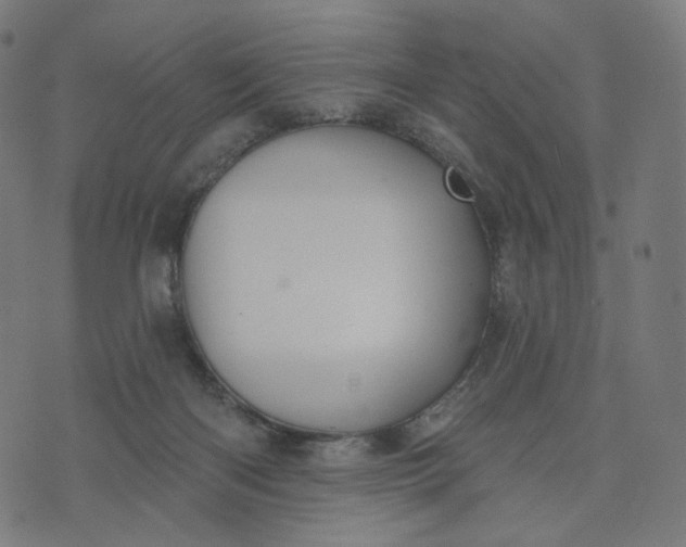 X0000070360122200606231632