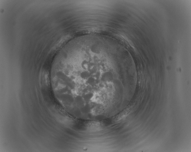 X0000070360123200606231632