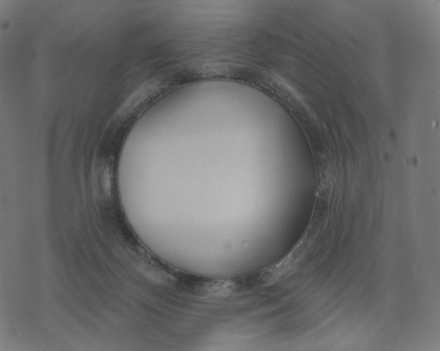 X0000070360124200606231632