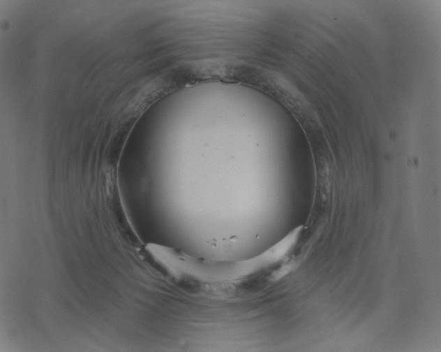 X0000070360125200606231632