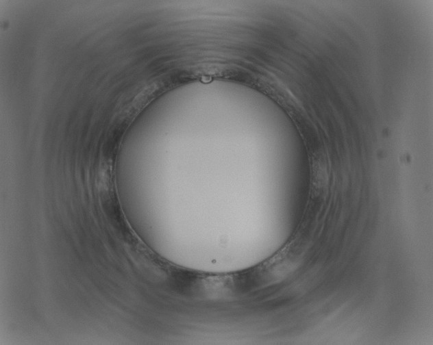 X0000070360126200606231632