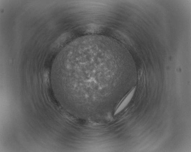 X0000070360127200606231632