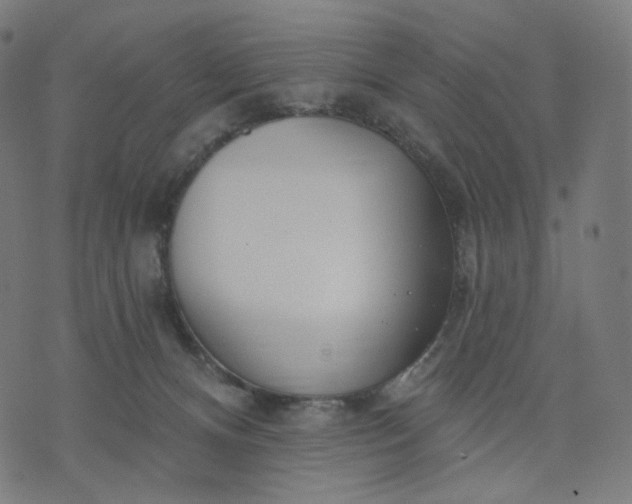 X0000070360128200606231632