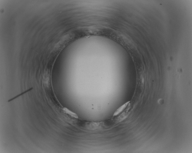 X0000070360129200606231632