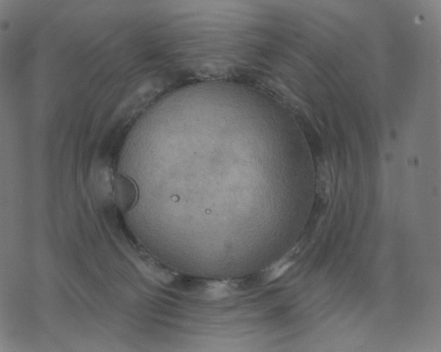 X0000070360130200606231632