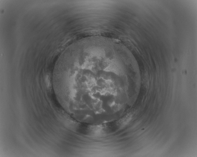 X0000070360131200606231632