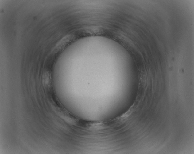 X0000070360132200606231632