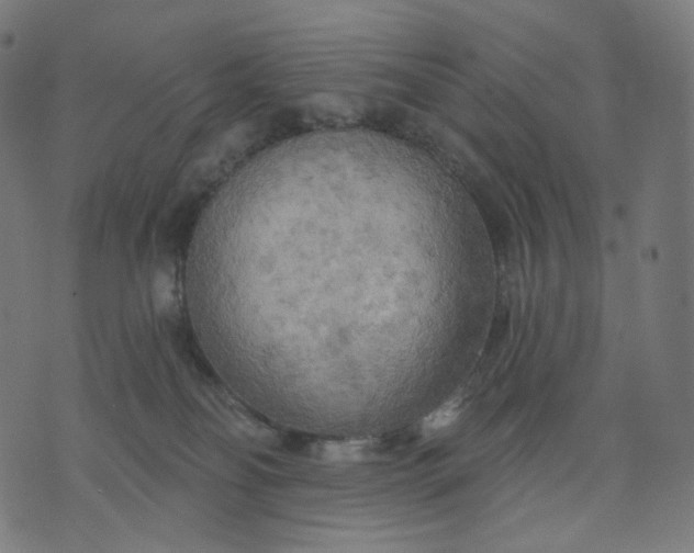 X0000070360134200606231632