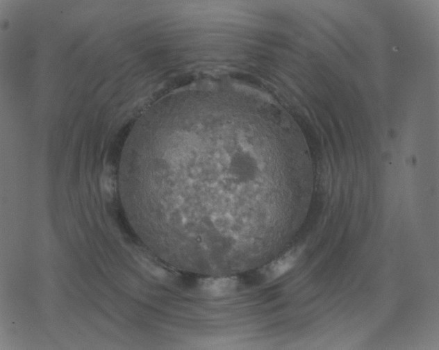 X0000070360135200606231632