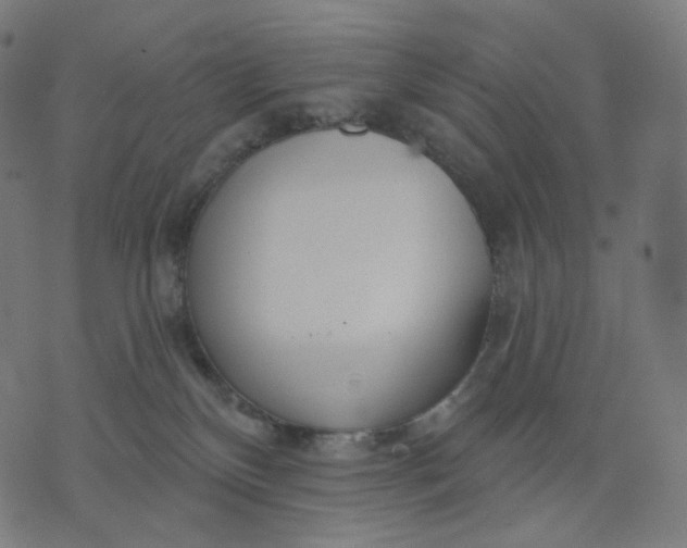 X0000070360136200606231632