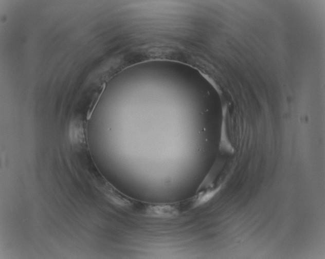 X0000070360137200606231632