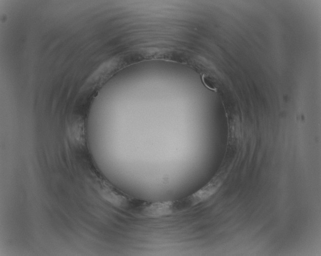 X0000070360138200606231632