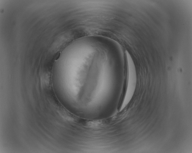 X0000070360139200606231632