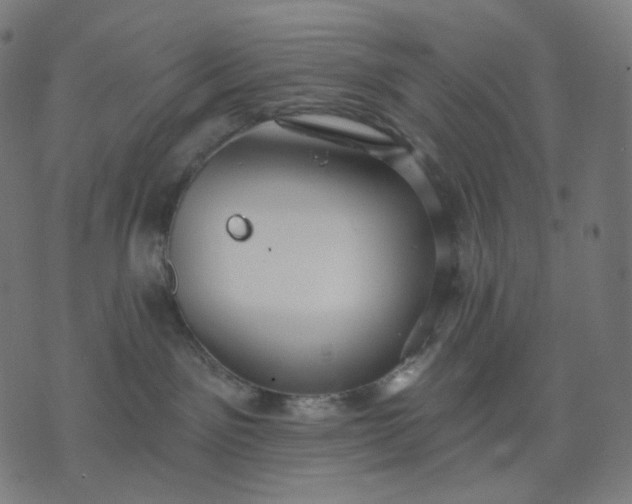 X0000070360141200606231632