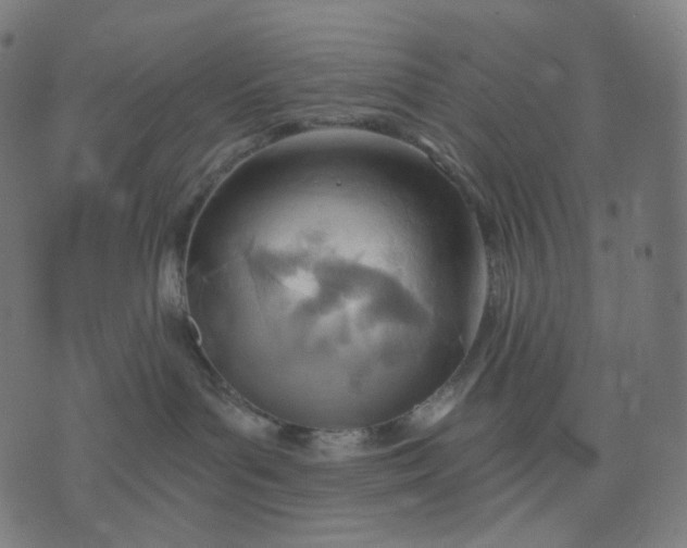 X0000070360143200606231632