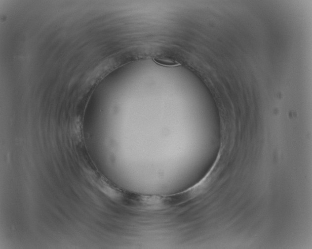 X0000070360144200606231632