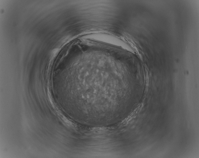 X0000070360145200606231631