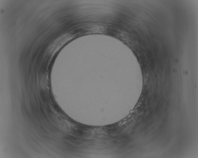 X0000070360146200606231631