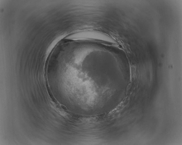 X0000070360147200606231631