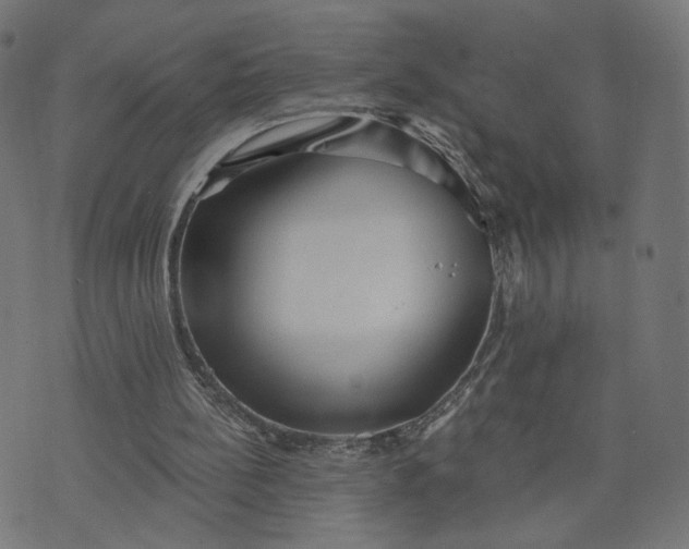 X0000070360148200606231631