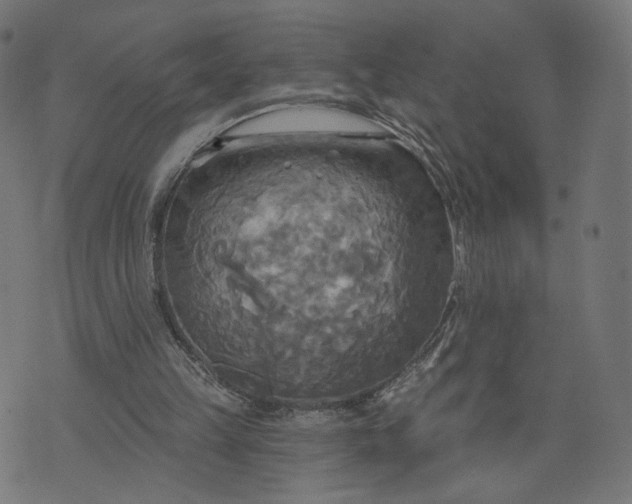 X0000070360149200606231631