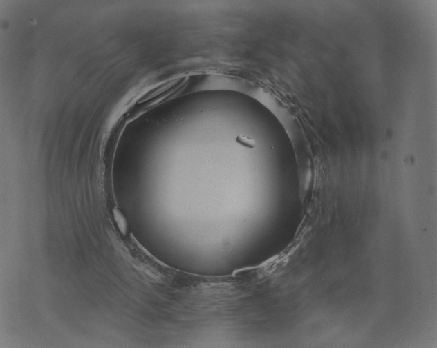 X0000070360150200606231631