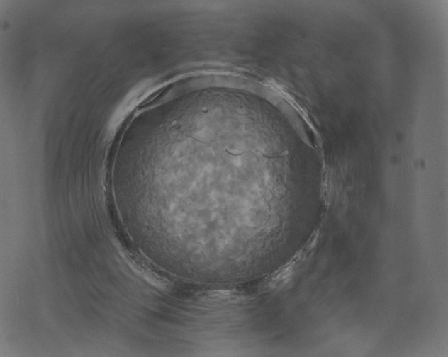 X0000070360151200606231631