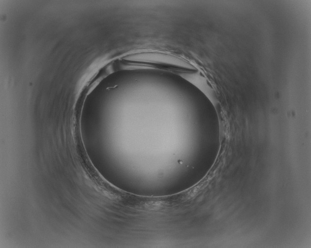 X0000070360152200606231631