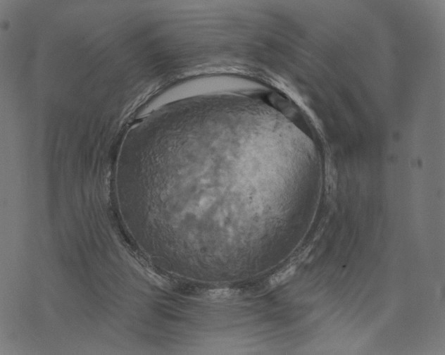 X0000070360153200606231631