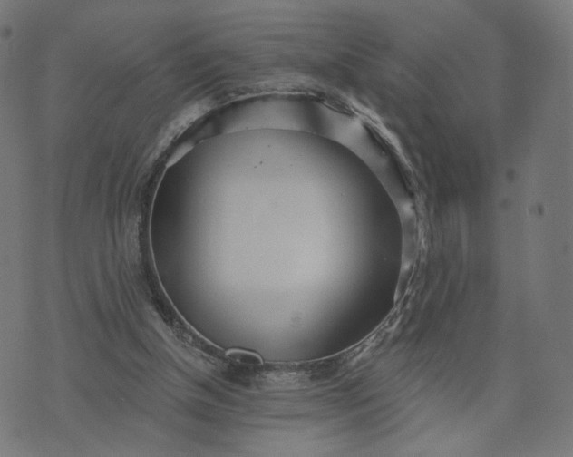 X0000070360154200606231631