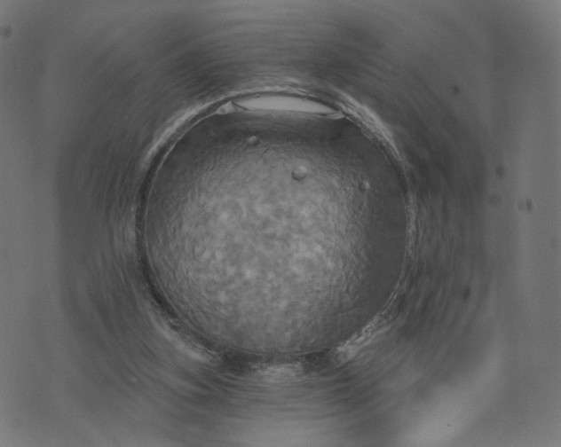 X0000070360155200606231631