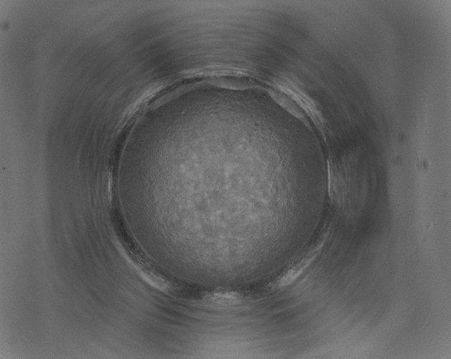 X0000070360157200606231631