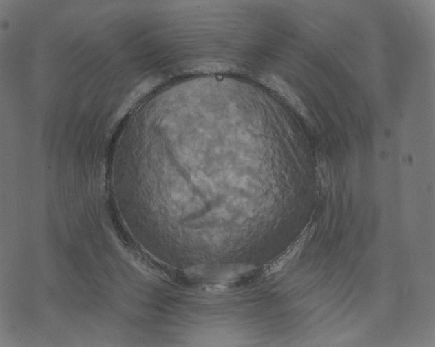 X0000070360159200606231631