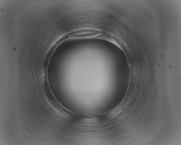 X0000070360160200606231631