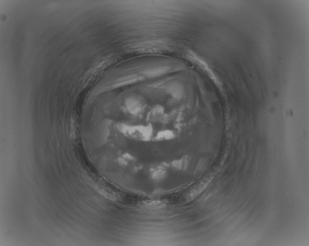 X0000070360161200606231631