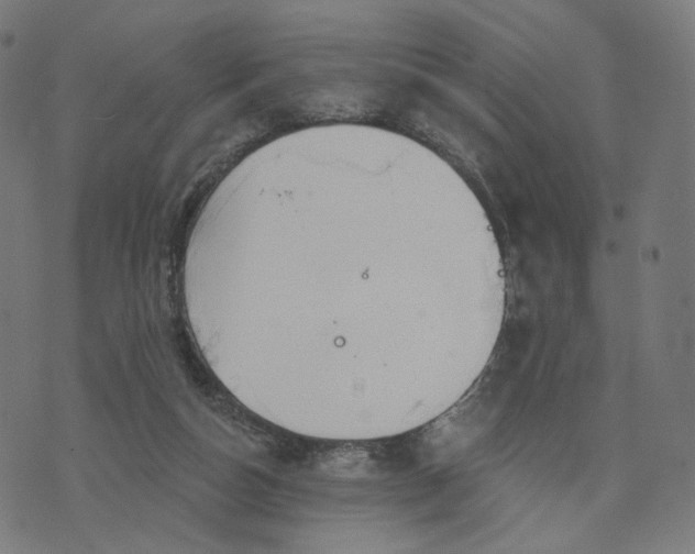 X0000070360162200606231631