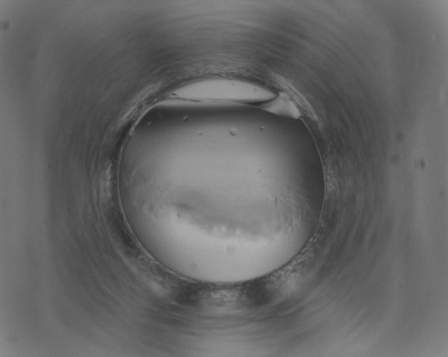 X0000070360163200606231631