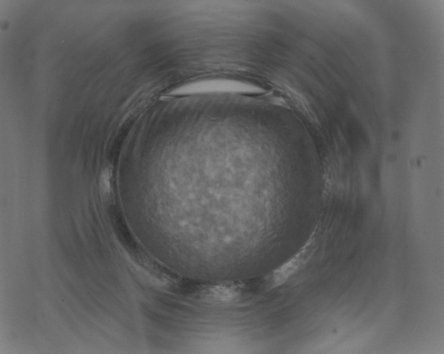 X0000070360166200606231631