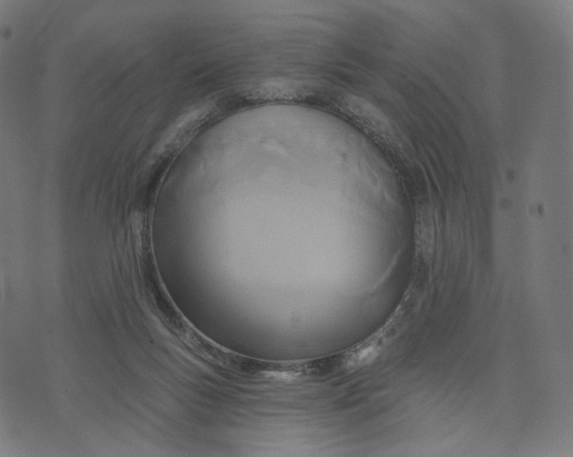 X0000070360167200606231631