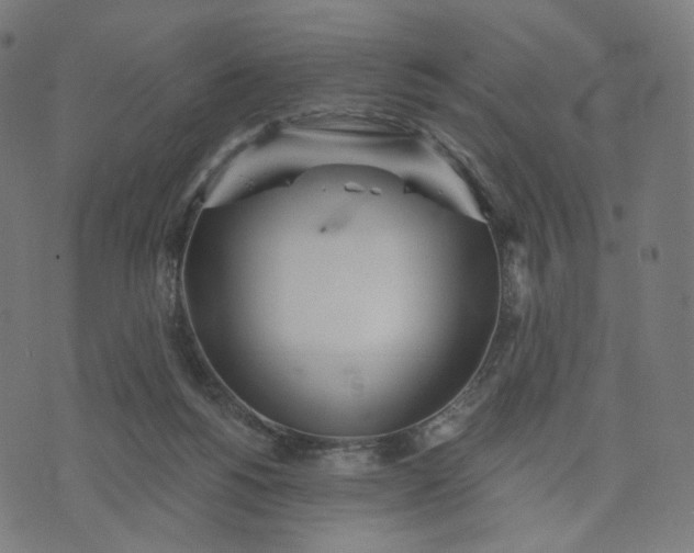 X0000070360168200606231631