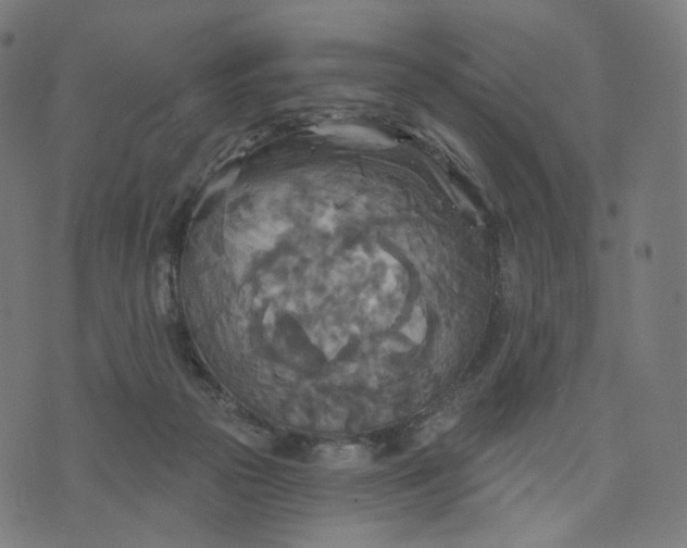 X0000070360169200606231631