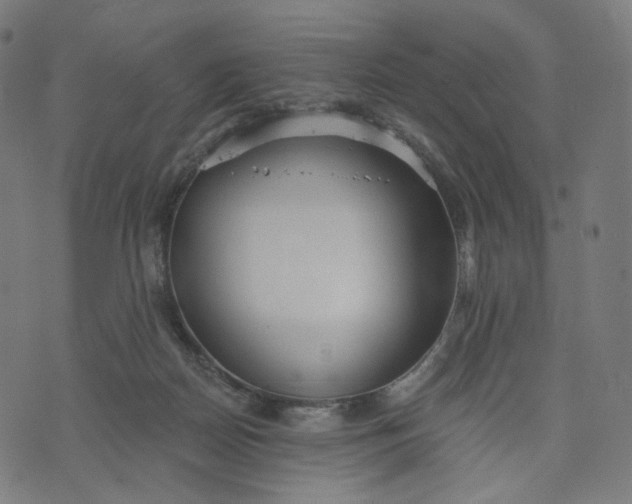 X0000070360170200606231631