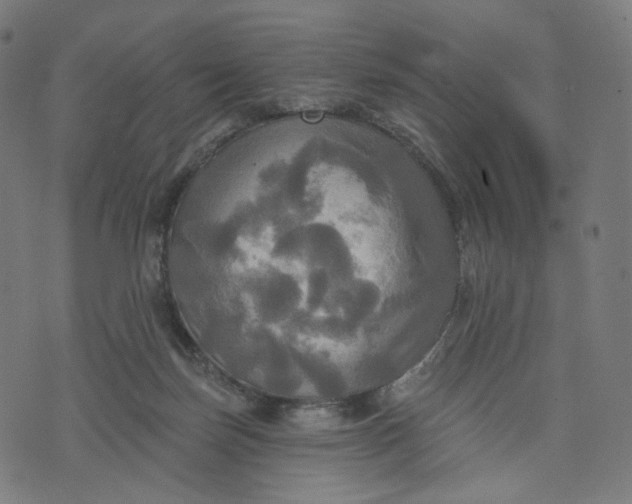 X0000070360171200606231631