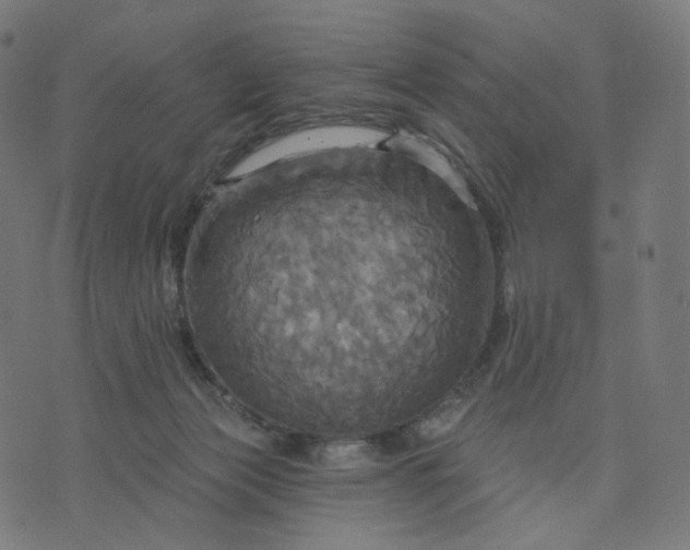 X0000070360173200606231631