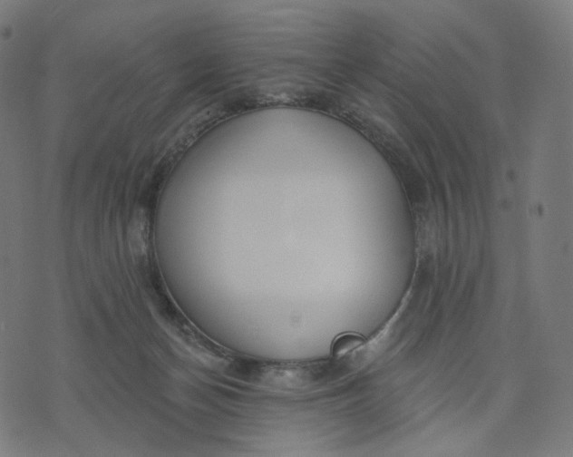 X0000070360174200606231631