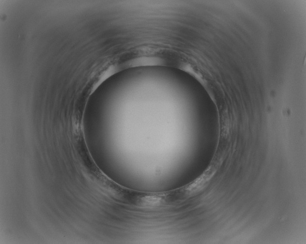 X0000070360176200606231631