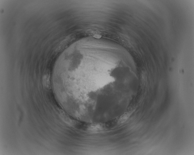 X0000070360177200606231631