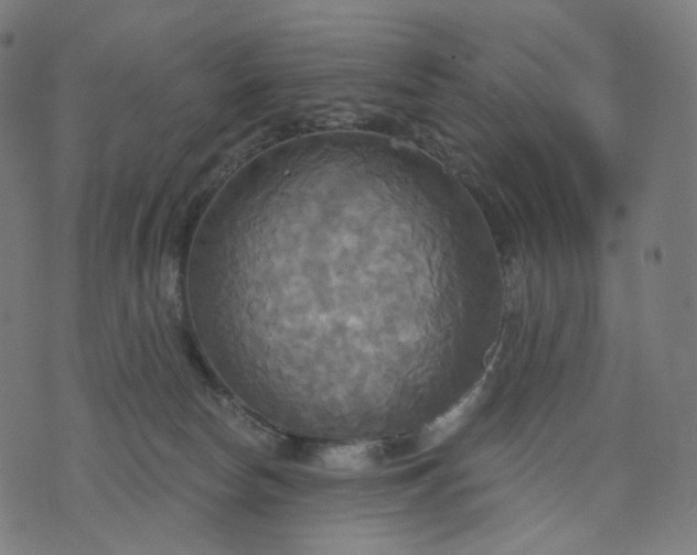 X0000070360178200606231631