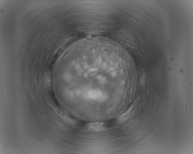 X0000070360179200606231631